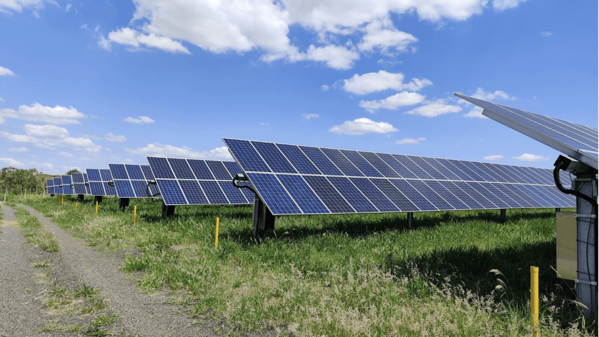 alquilar terreno para placas solares
